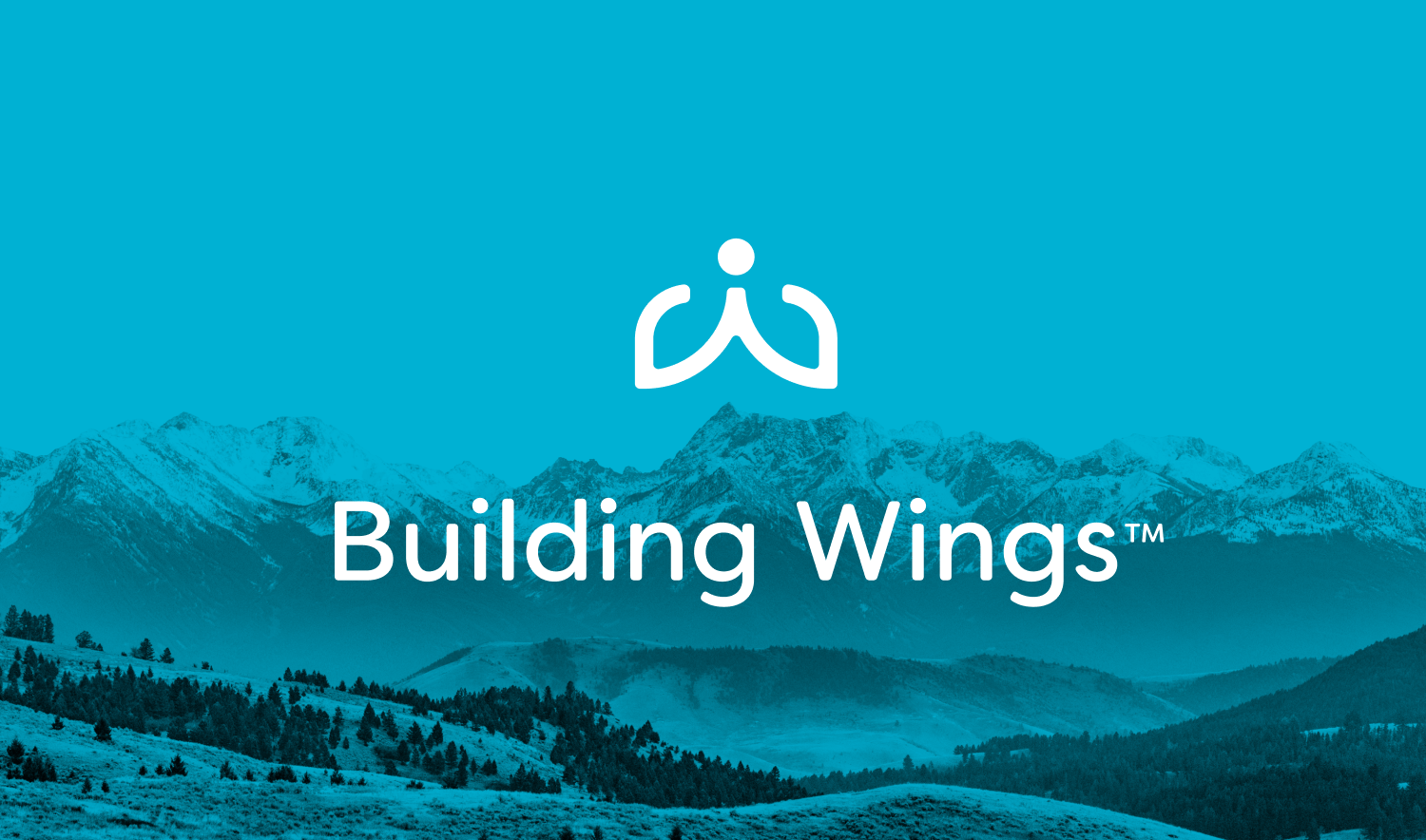 Building Wings Reaches New Heights